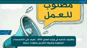 وظائف شاغرة في وزارة العمل 2025.. تعرف على التخصصات المطلوبة وطريقة التقديم بخطوات سهلة